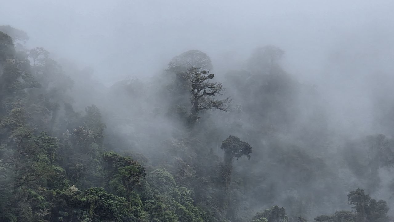 El Iral Cloud Forest